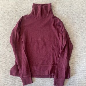 Aritzia Community Turtleneck